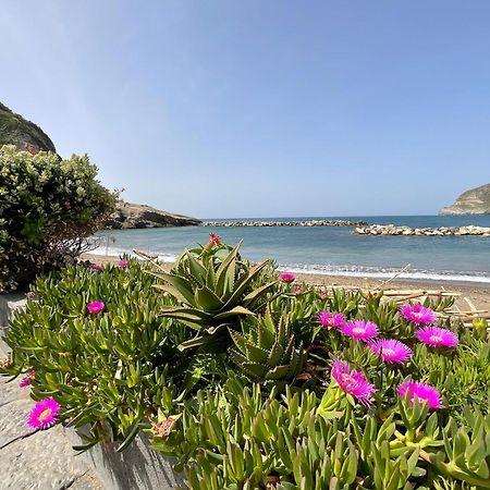 Appartamento Casa Francesco Seaside Sant'Angelo  Esterno foto