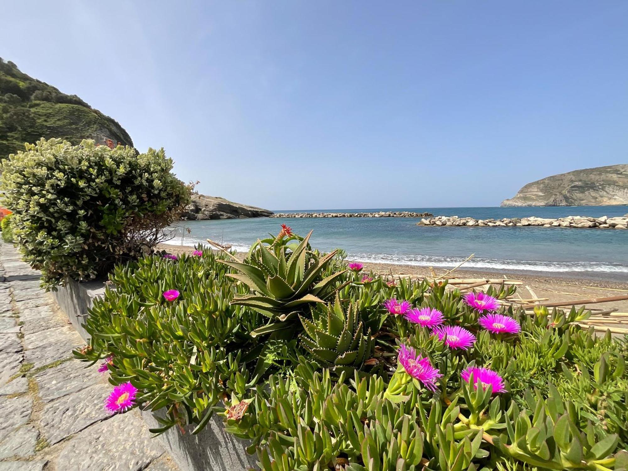 Appartamento Casa Francesco Seaside Sant'Angelo  Esterno foto